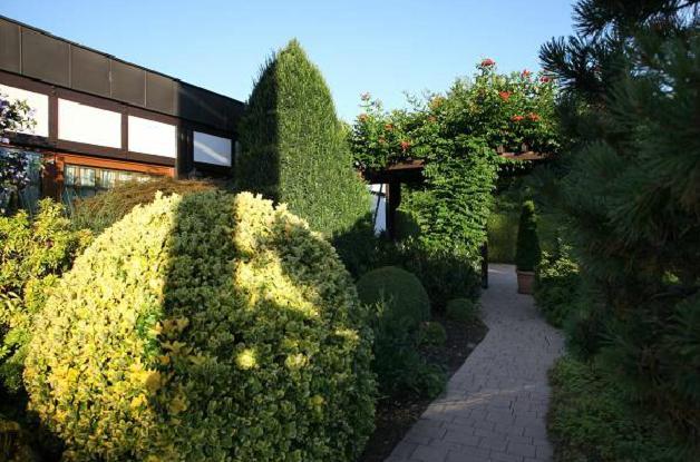 Hotel-Restaurant Esbach Hof Китцинген Екстериор снимка